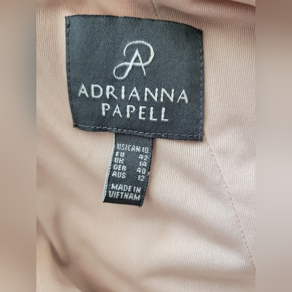 Adrianna Papell Taupe Beige Lace Panel Sleeveless Midi Dress Size 10 - Picture 3 of 4